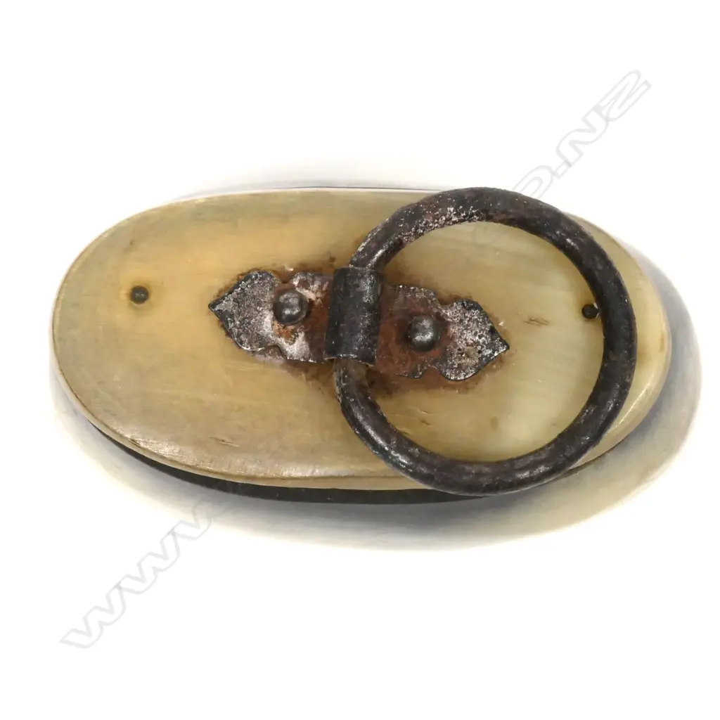 A 19thC horn snuff box Image 1++