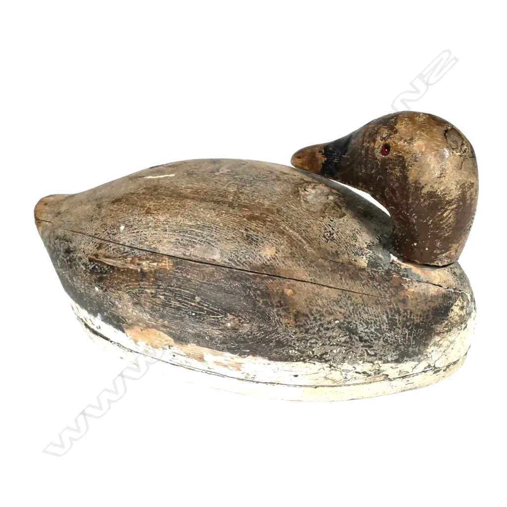 A vintage 16" early Canvasback hollowed wooden decoy Image 1++