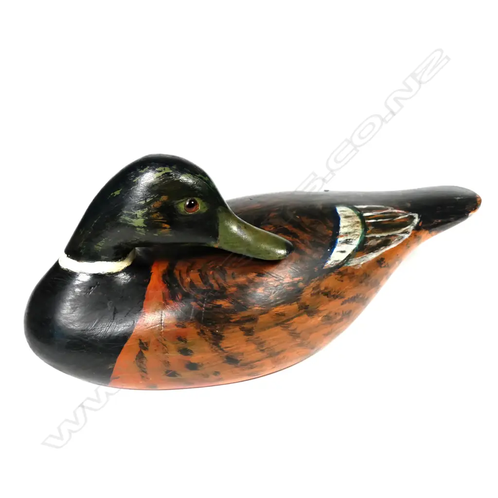 A 13" carved cedar preening duck decoy Image 1++