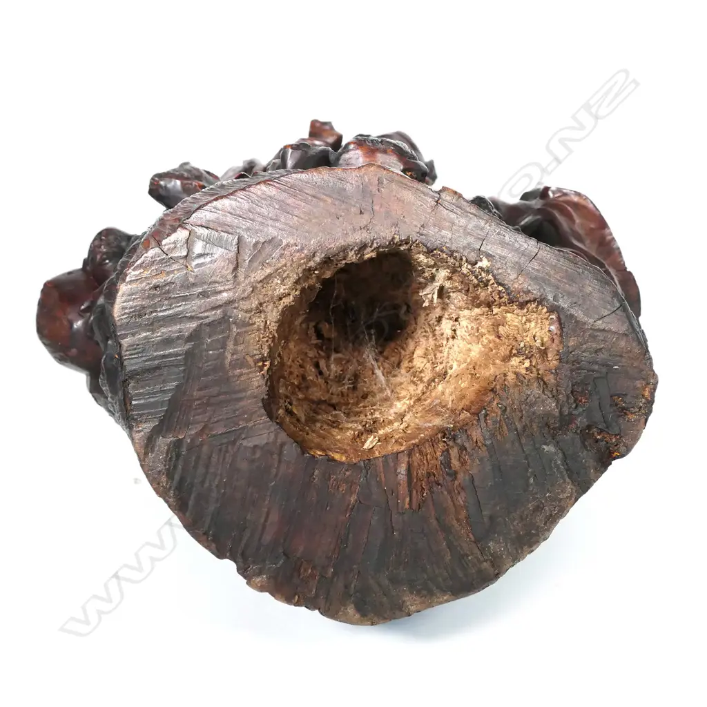 A massive and well carved Japanese burl wood carved figure of Shoki and a young boy, Image 1++