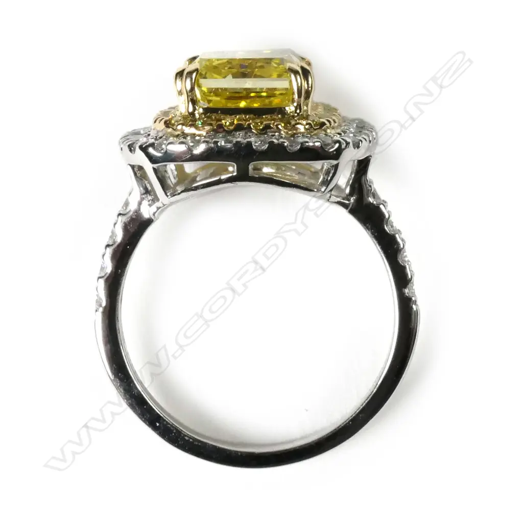 A platinum and 18ct gold diamond double halo Art Deco style ring Image 1++