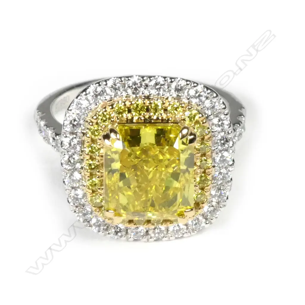 A platinum and 18ct gold diamond double halo Art Deco style ring Image 1++