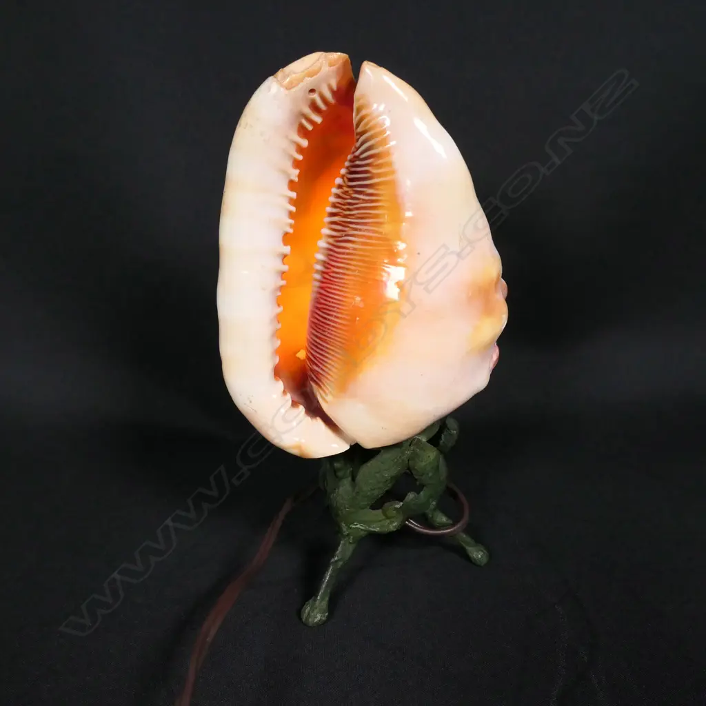 A vintage cameo shell lamp Image 1++