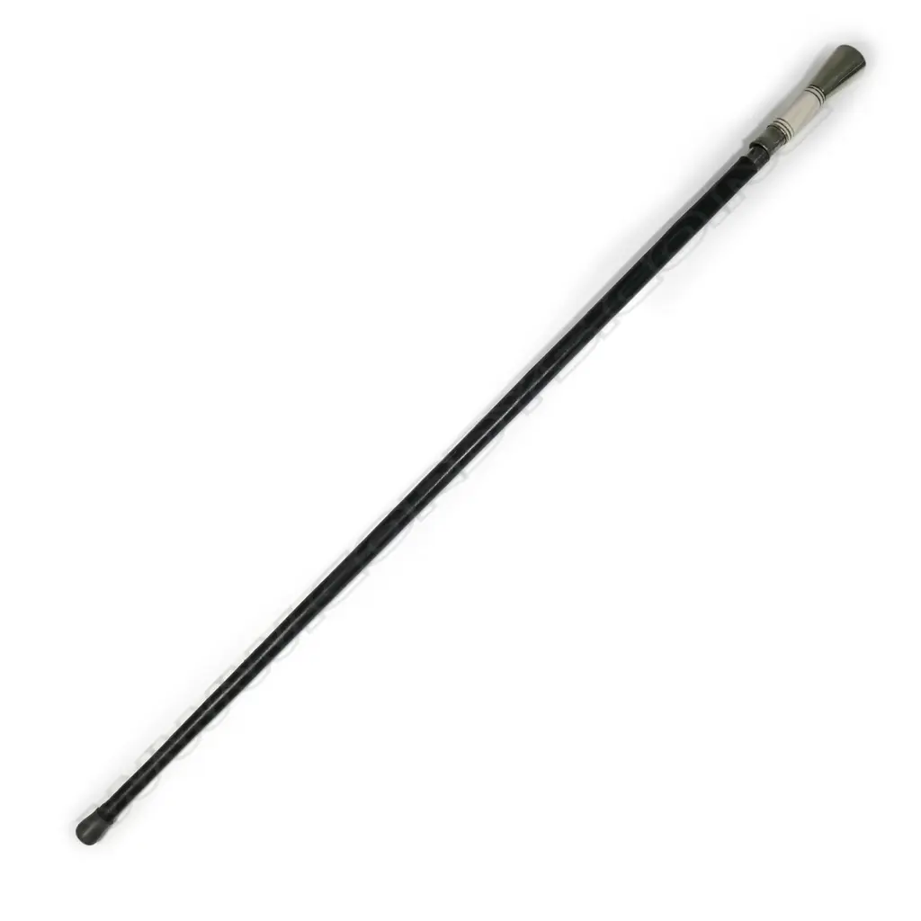 A sword stick cane Image 1++