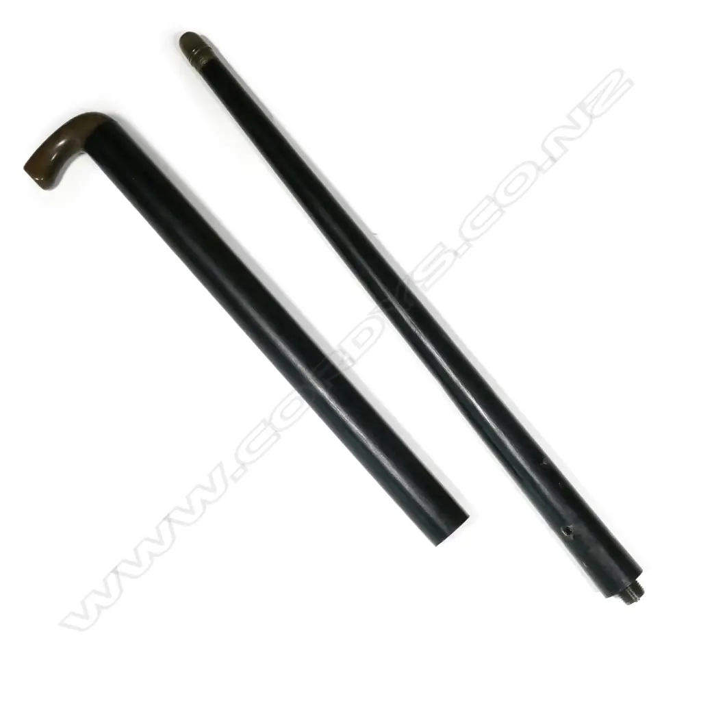 A walking stick gun Image 1++