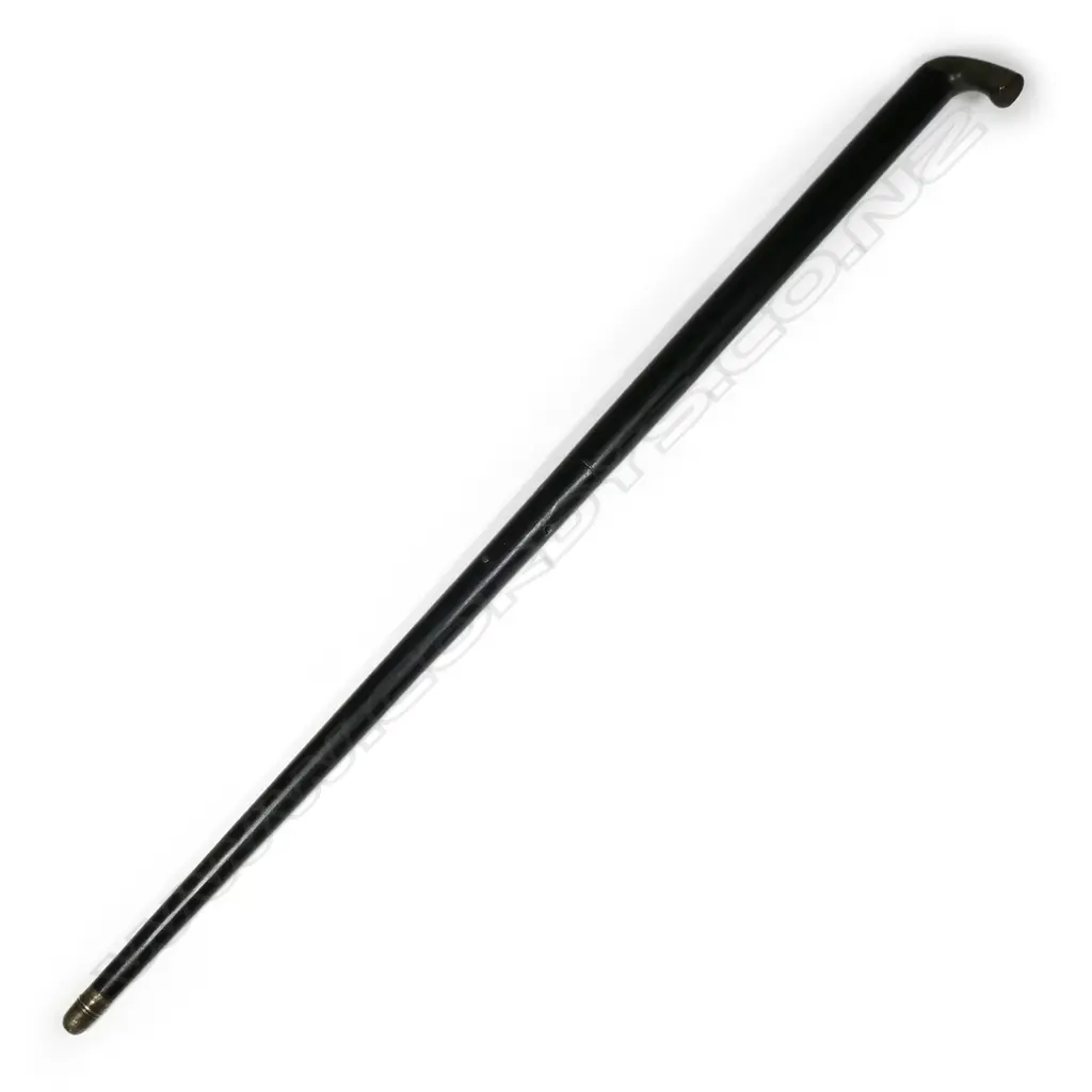A walking stick gun Image 1++