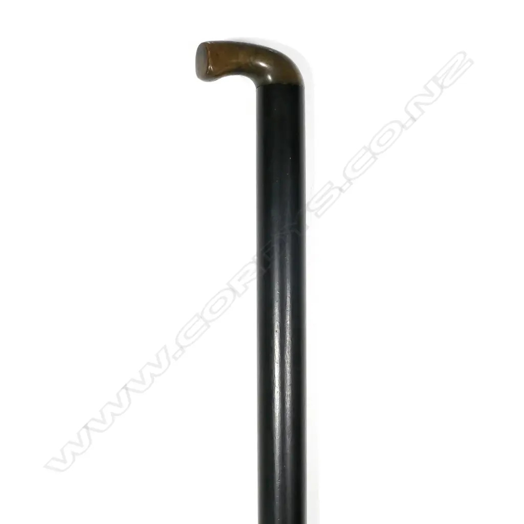 A walking stick gun Image 1++