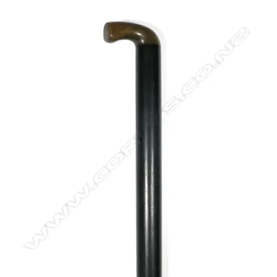 A walking stick gun