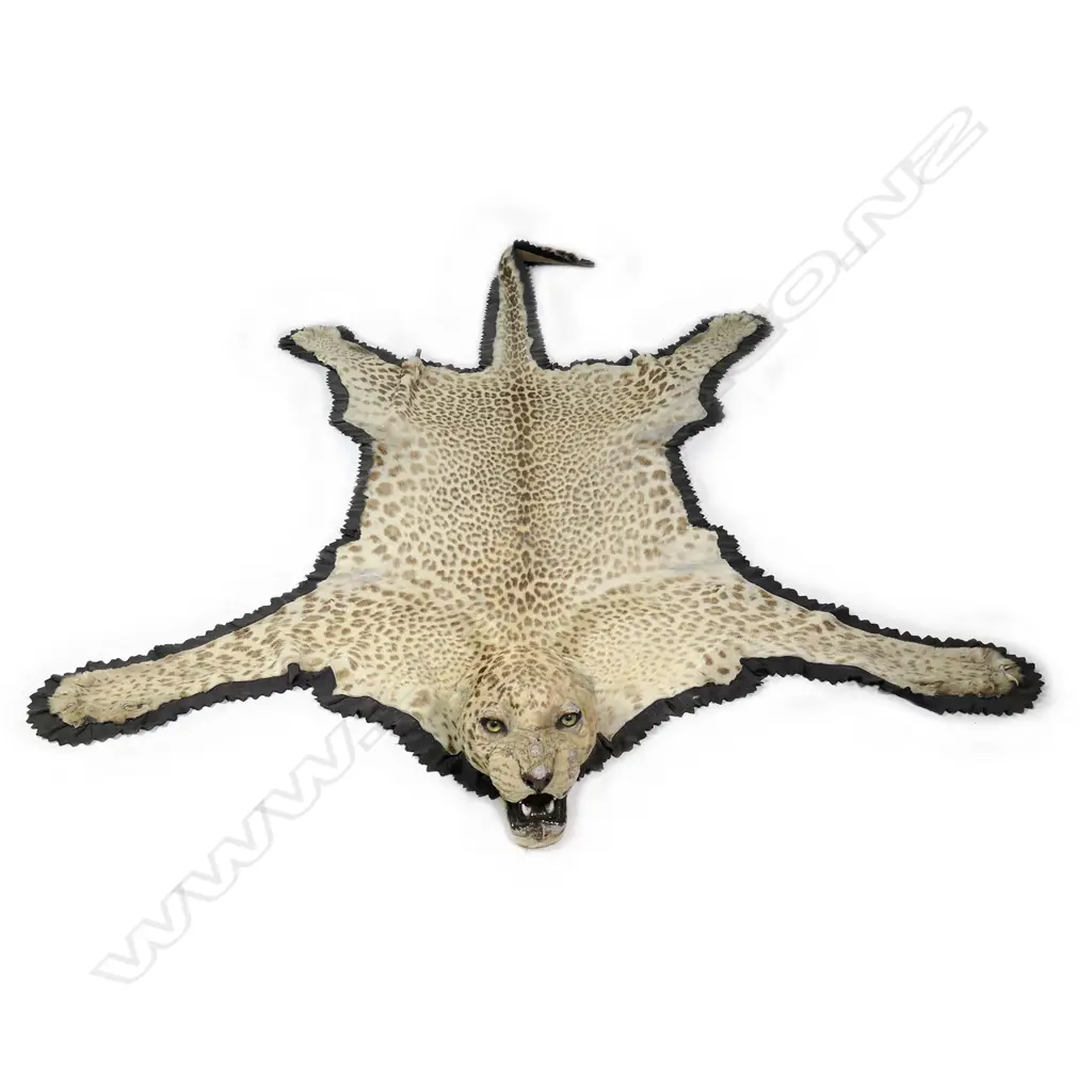 A vintage leopard skin Image 1++