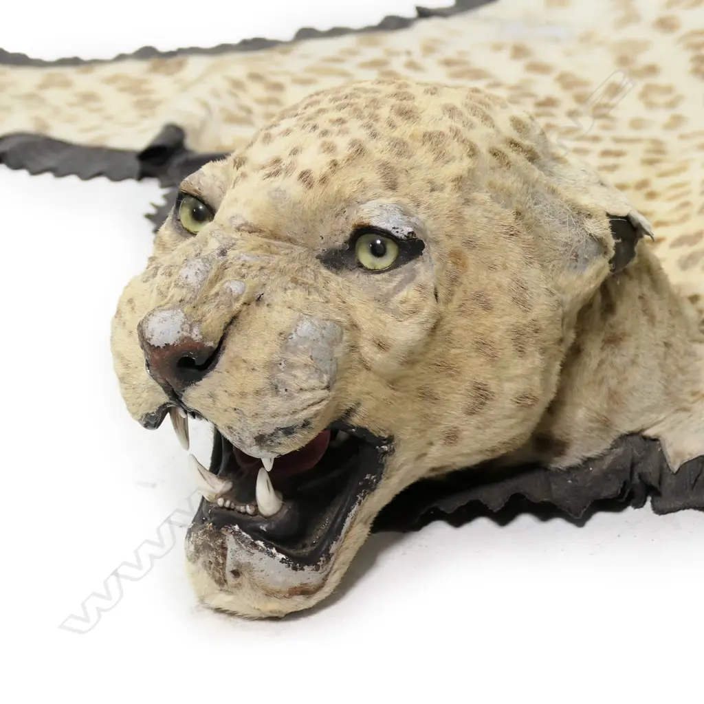 A vintage leopard skin Image 1++