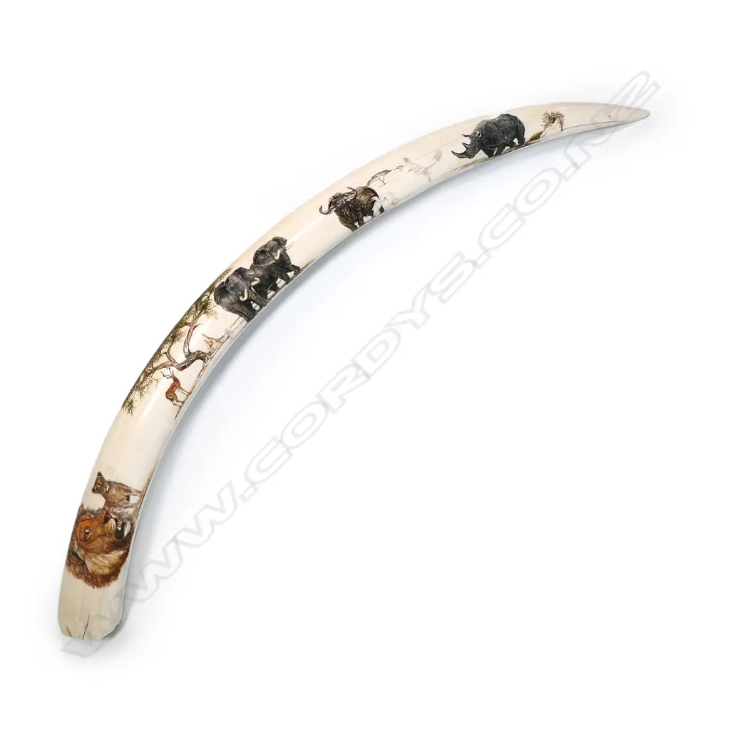A small elephant tusk with fine engraved decoration of African animals and birds Image 1++