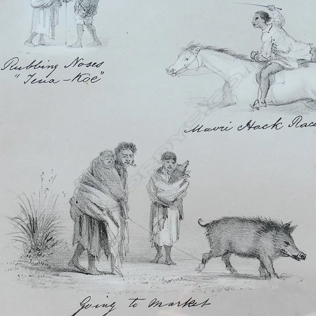A framed lithograph from C.D. Barraud's New Zealand Graphic and Descriptive Image 1++