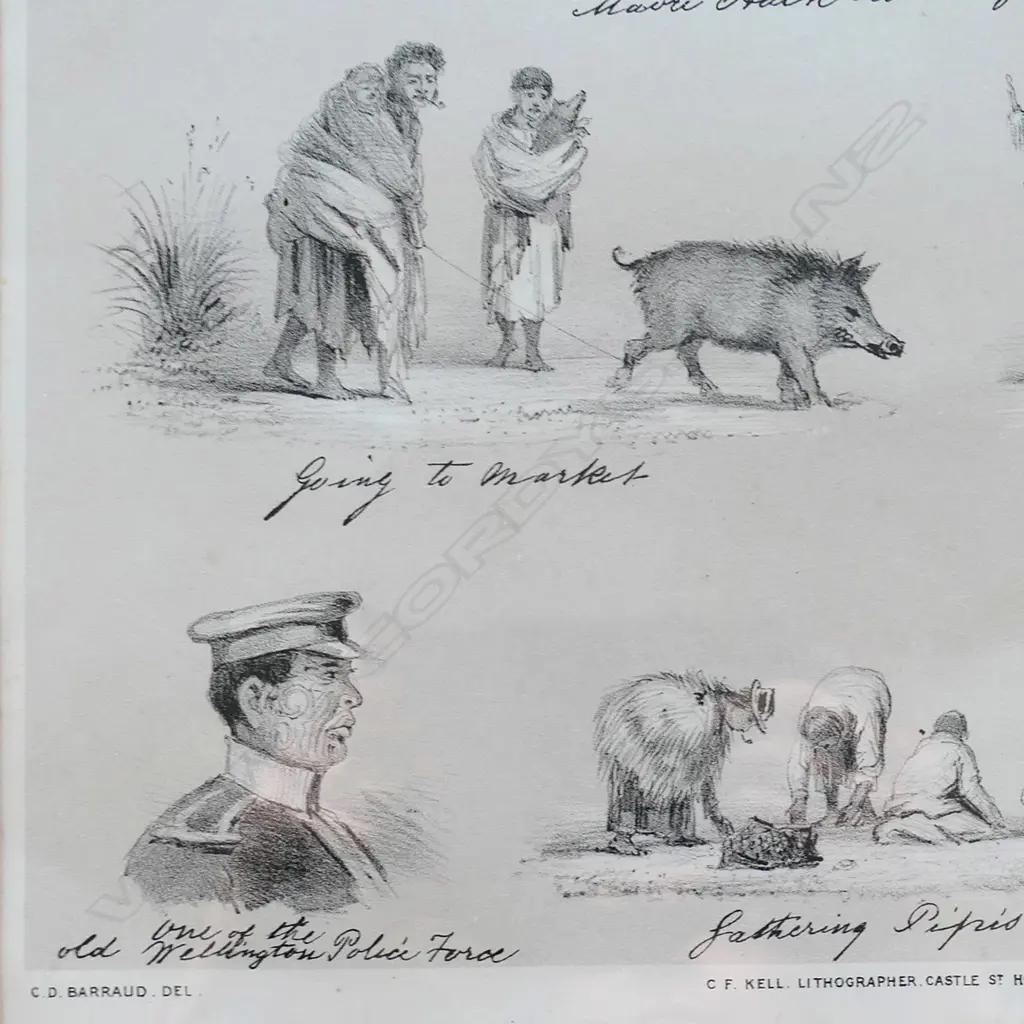A framed lithograph from C.D. Barraud's New Zealand Graphic and Descriptive Image 1++