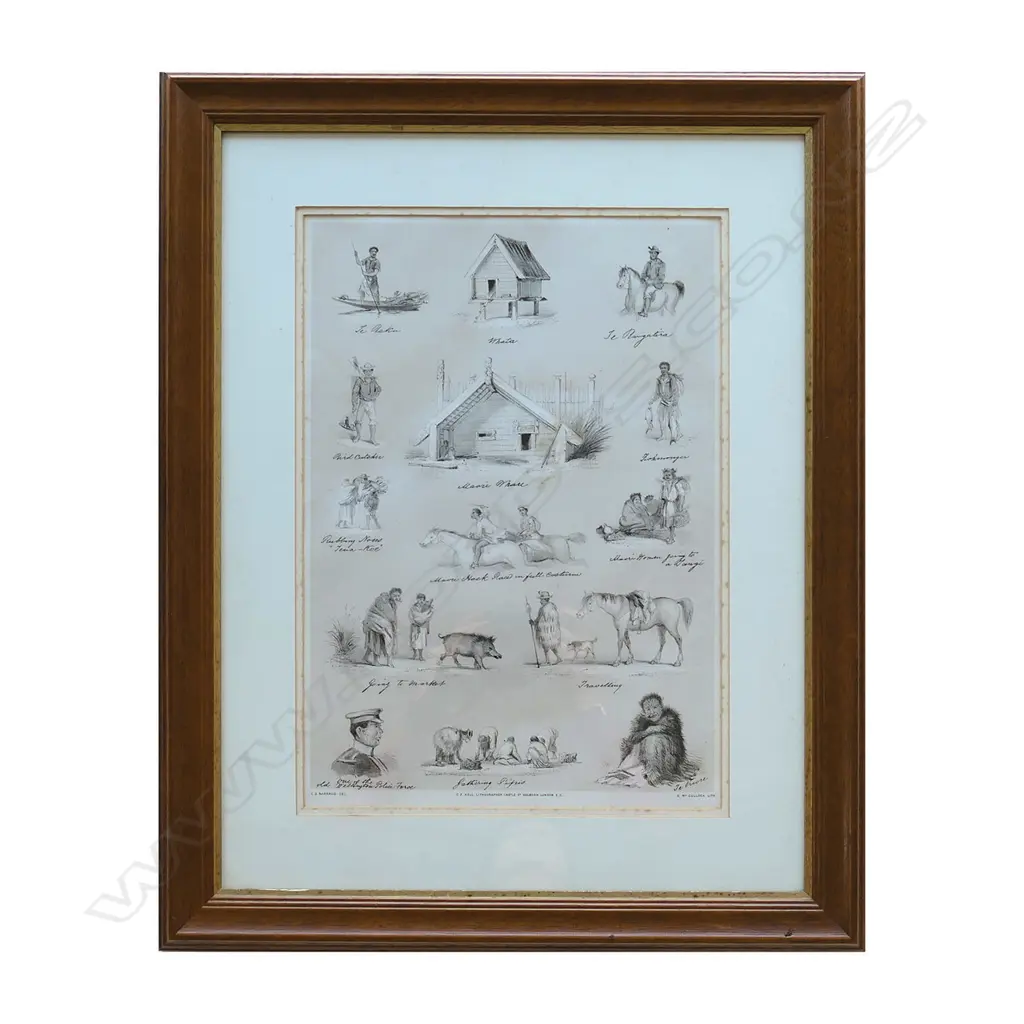 A framed lithograph from C.D. Barraud's New Zealand Graphic and Descriptive Image 1++