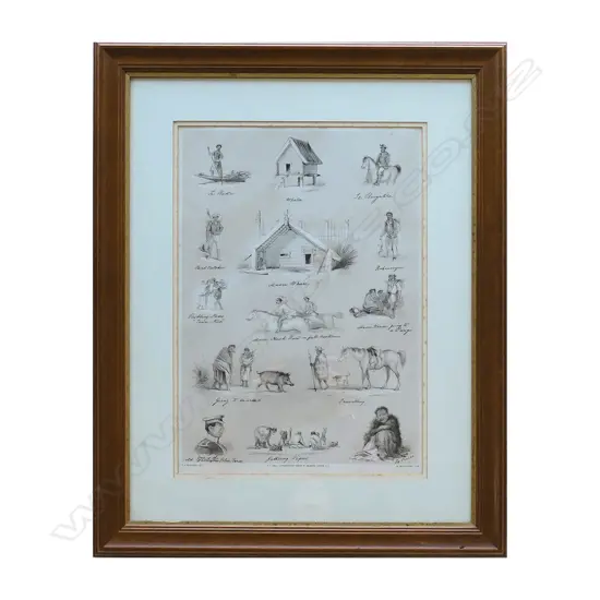 A framed lithograph from C.D. Barraud's New Zealand Graphic and Descriptive
