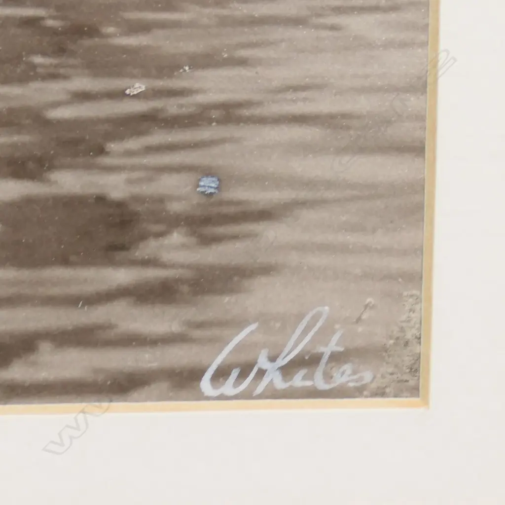 A rare White's (Leo White) vintage yachting photograph Image 1++