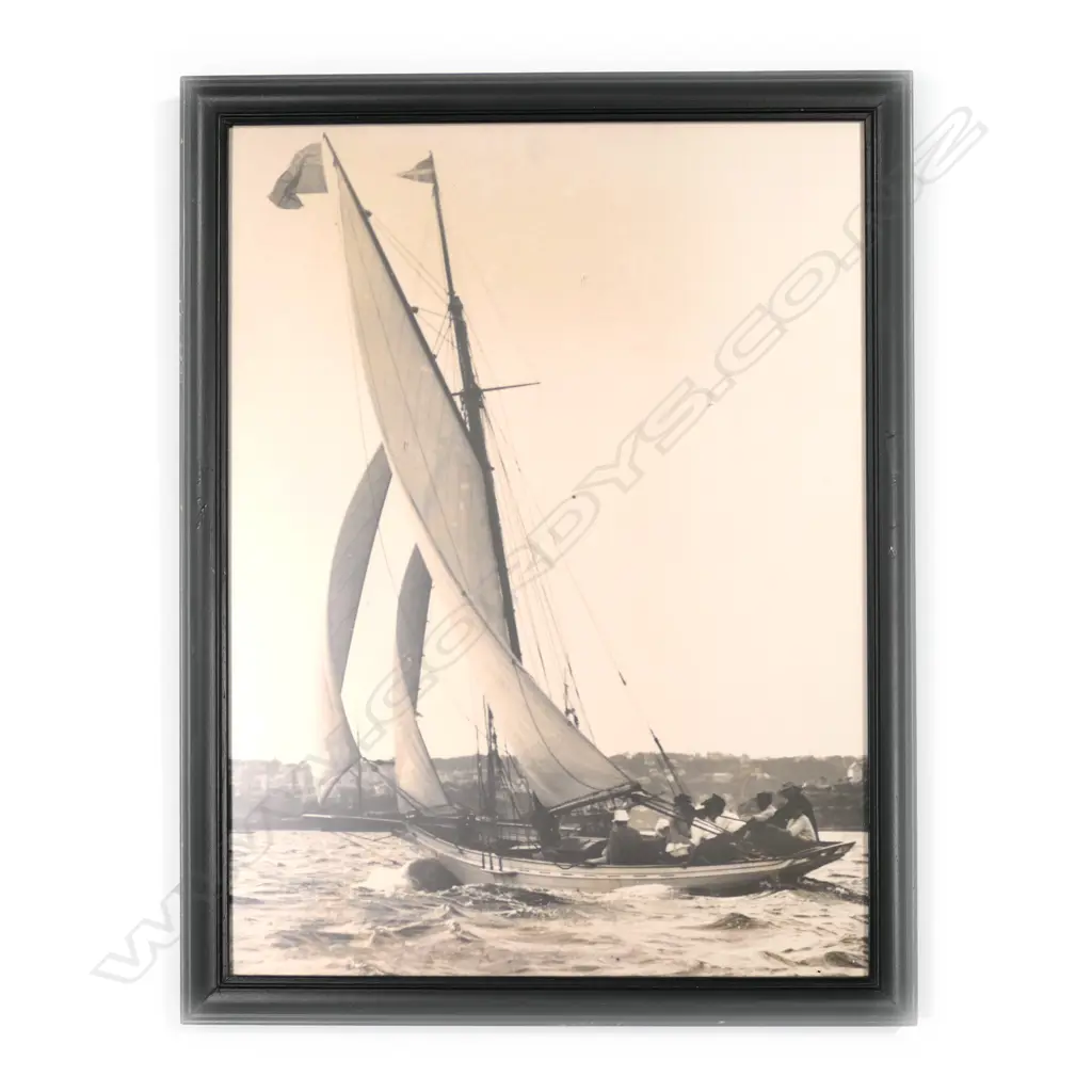 Attributed to Henry Winkelmann (New Zealand Image 1++