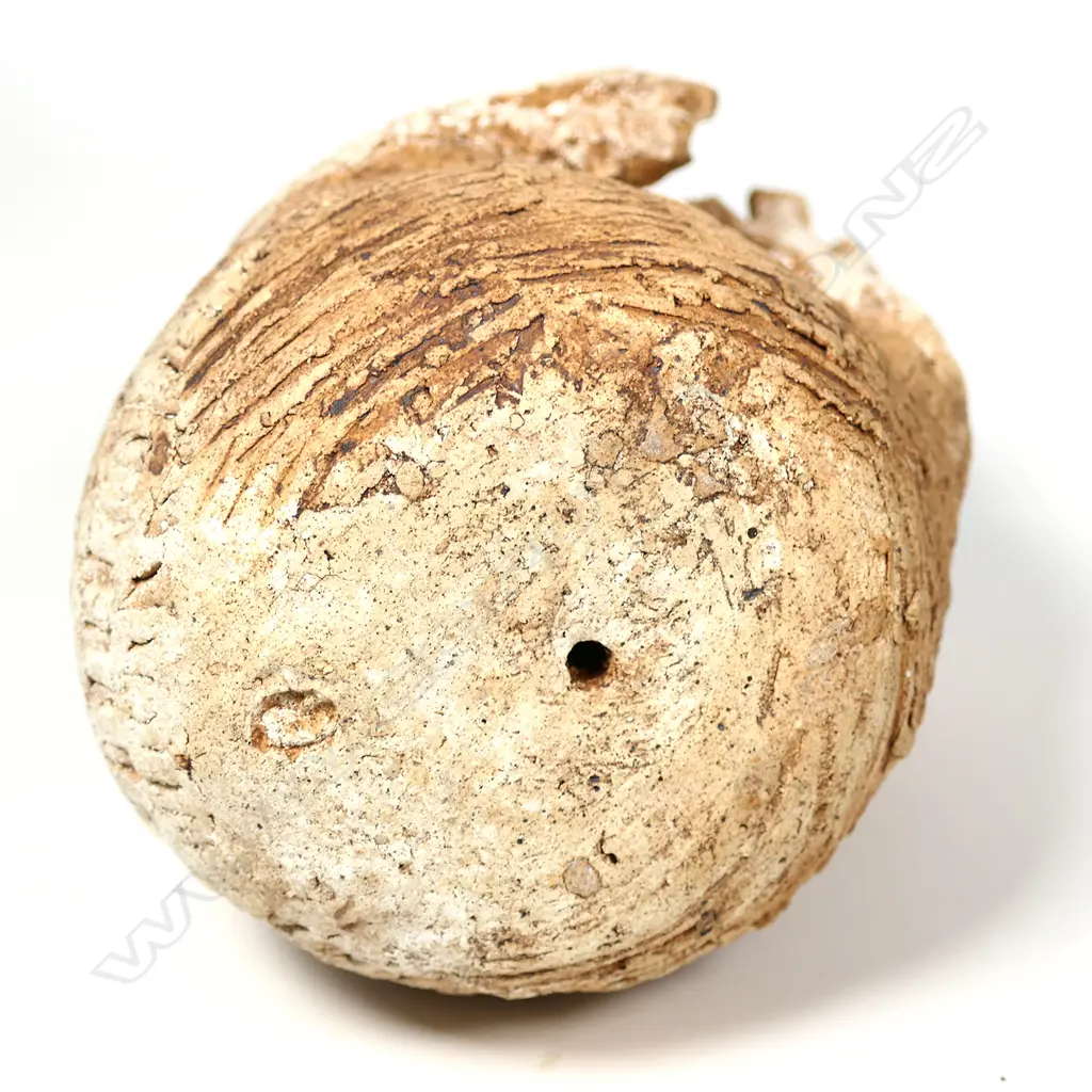 A Rosemarie Brittain pottery bird Image 1++
