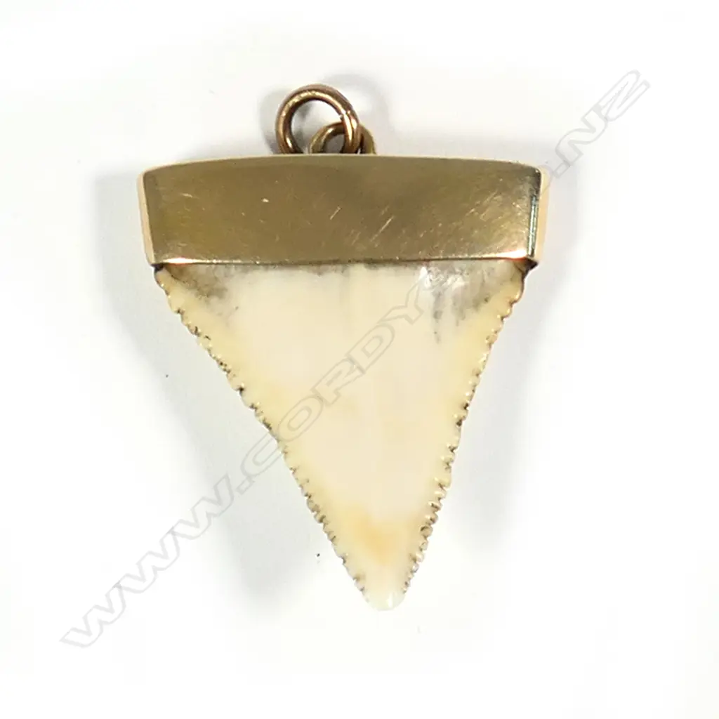 A 9ct rose gold and shark's tooth pendant Image 1++