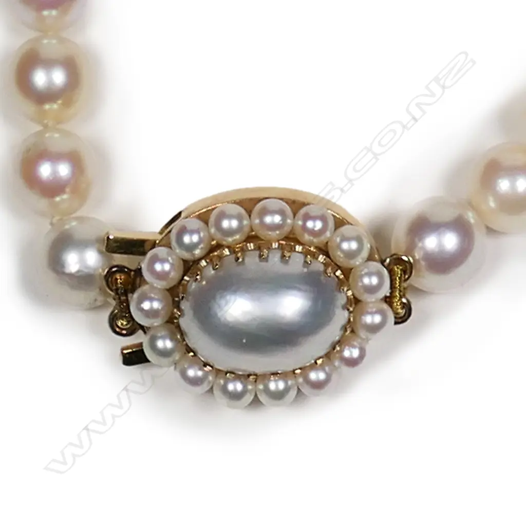 A single uniform long strand of Akoya cultured pearls with 9ct gold clasp Image 1++