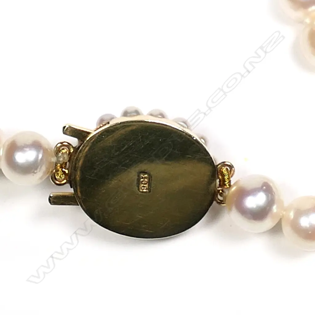A single uniform long strand of Akoya cultured pearls with 9ct gold clasp Image 1++