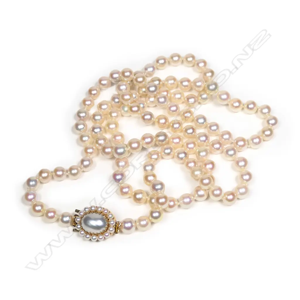 A single uniform long strand of Akoya cultured pearls with 9ct gold clasp Image 1++