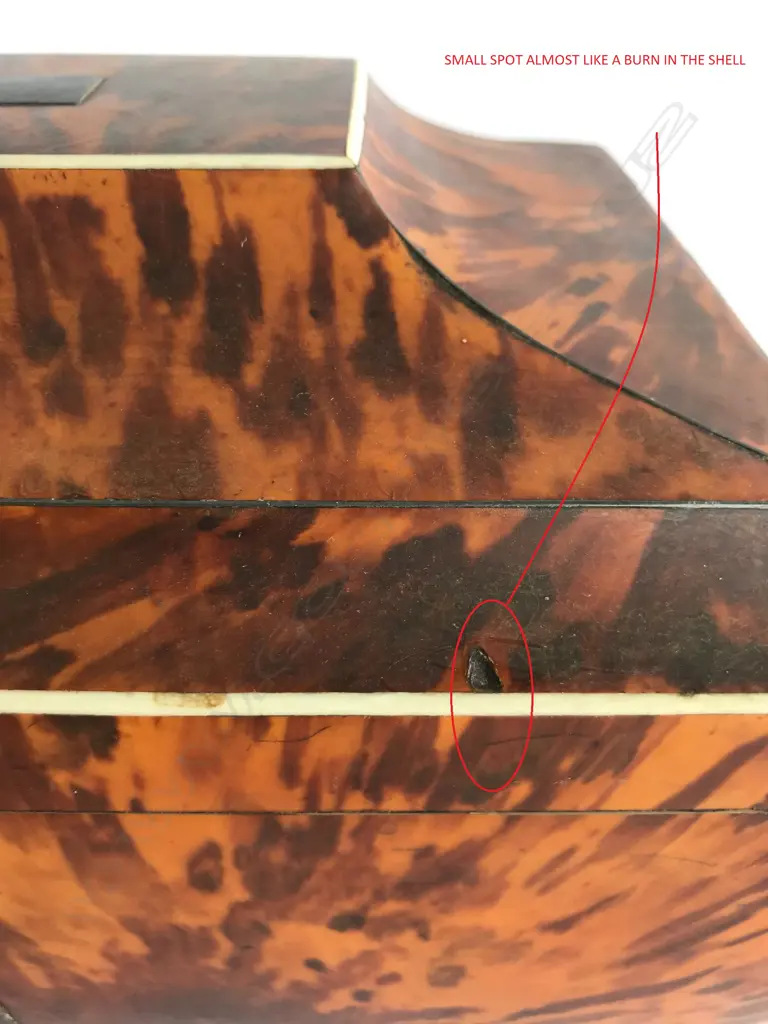 A Regency tortoiseshell sarcophagus sewing box Image 1++