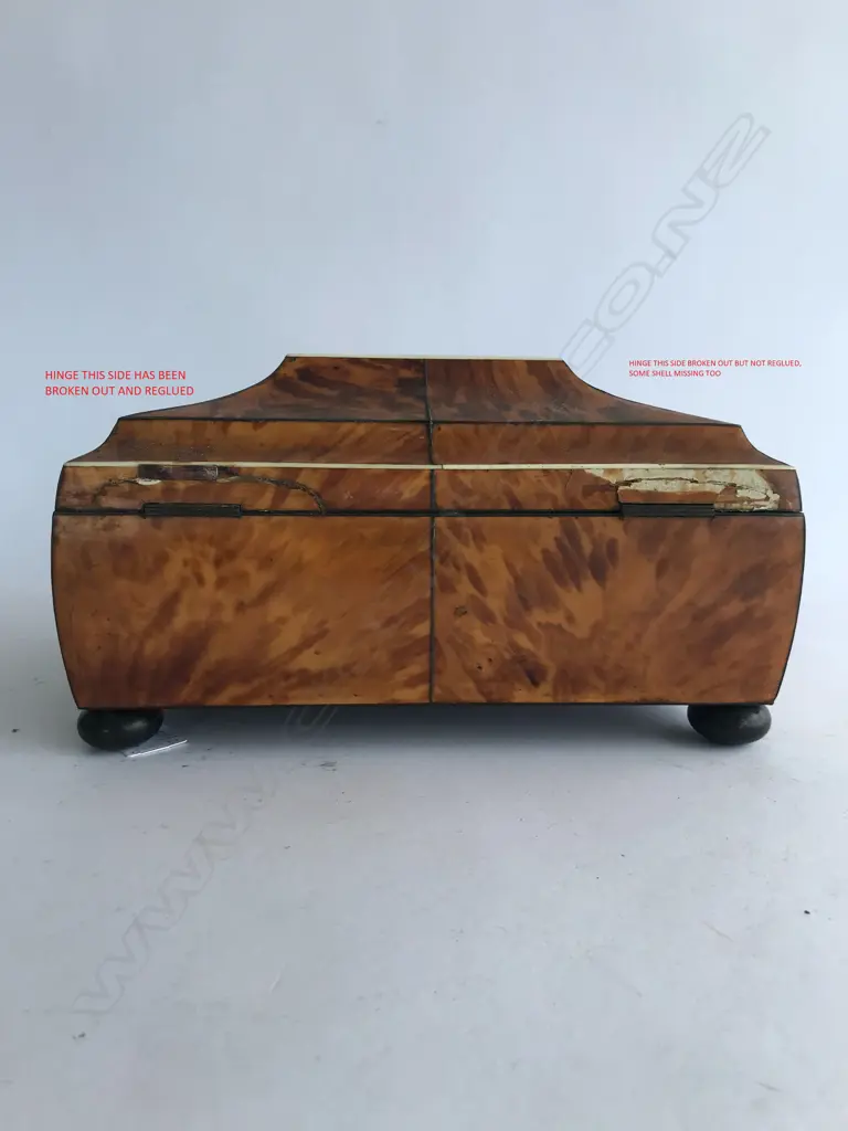 A Regency tortoiseshell sarcophagus sewing box Image 1++