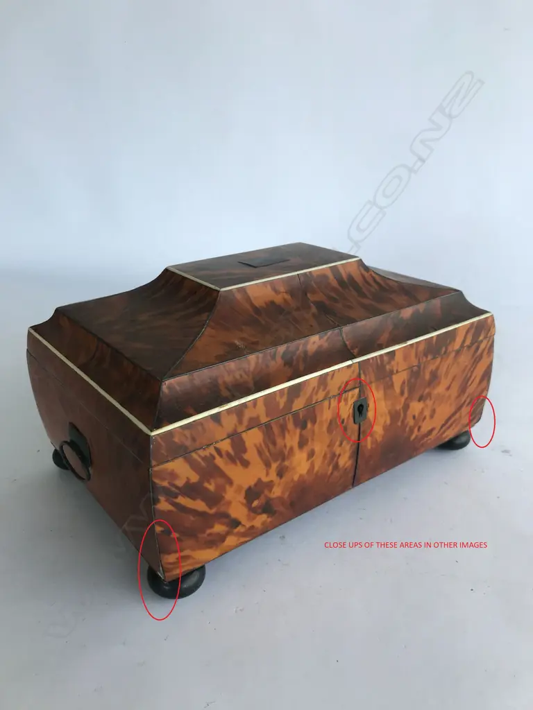 A Regency tortoiseshell sarcophagus sewing box Image 1++