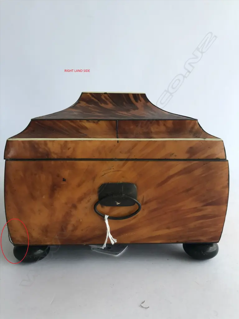 A Regency tortoiseshell sarcophagus sewing box Image 1++