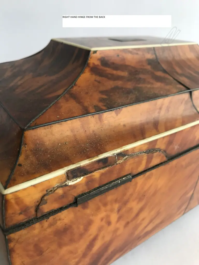 A Regency tortoiseshell sarcophagus sewing box Image 1++