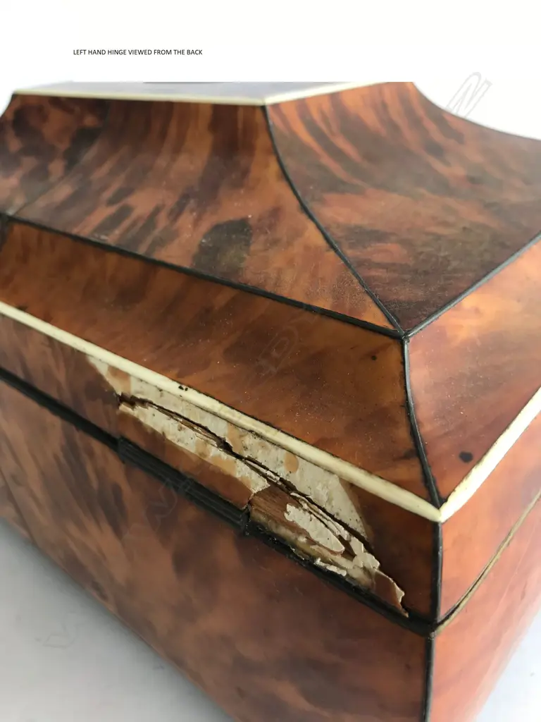 A Regency tortoiseshell sarcophagus sewing box Image 1++