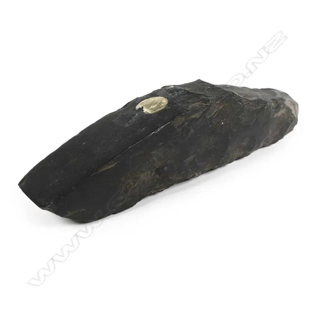 A pre-European Honolulu Hawaii stone hog-back adze Image 1++