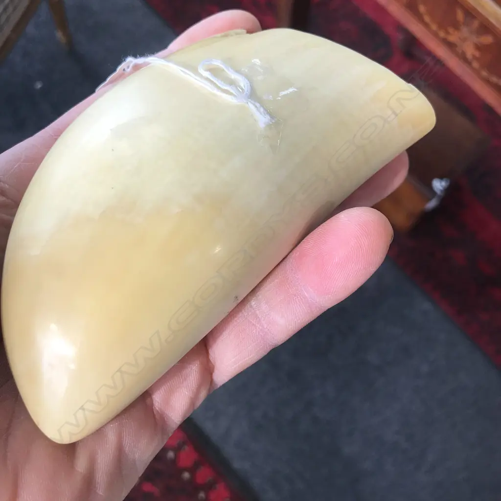 A 20thC scrimshaw whales tooth signed ‘C.S. Raleigh’ Image 1++