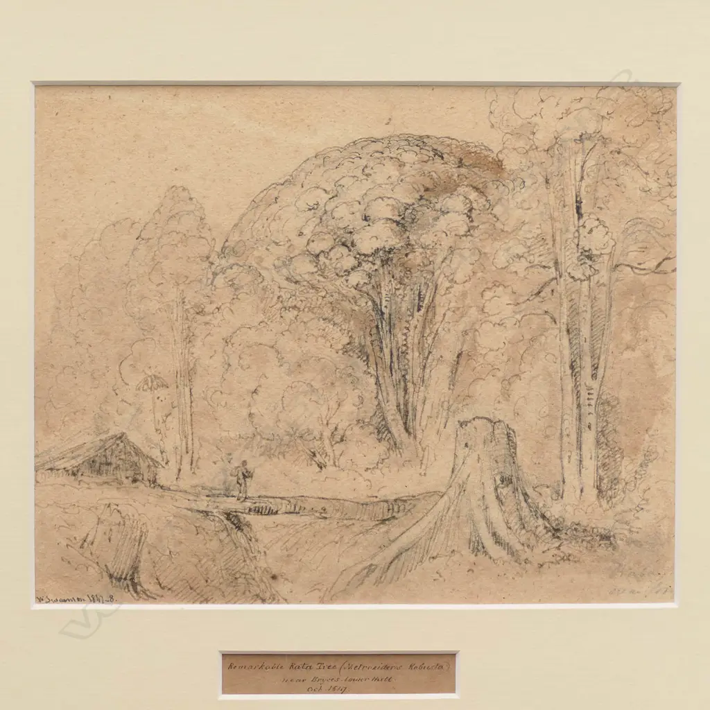 William Swainson (1789-1855) Image 1++