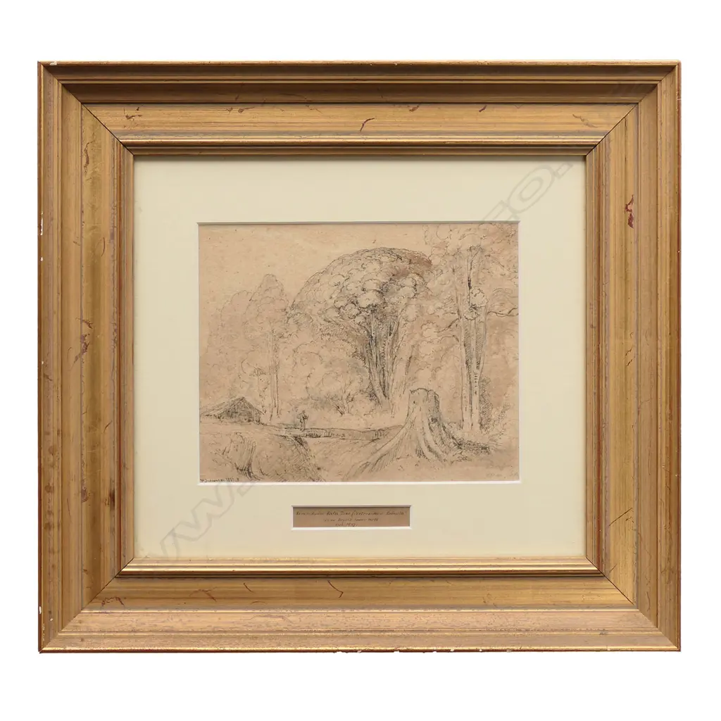 William Swainson (1789-1855) Image 1++