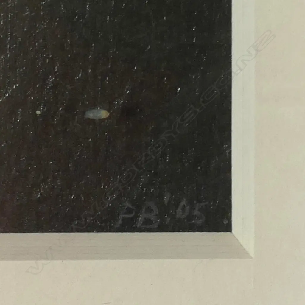 Peter Boggs (b.1949 NZ.) Image 1++