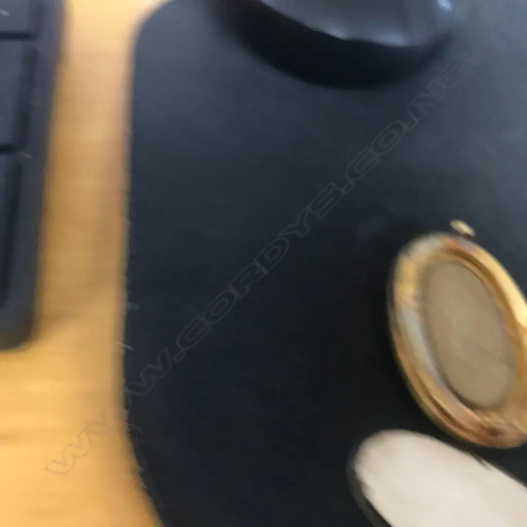 A rare and important colonial Australian gold and opal brooch by Evan Jones of Sydney Image 1++