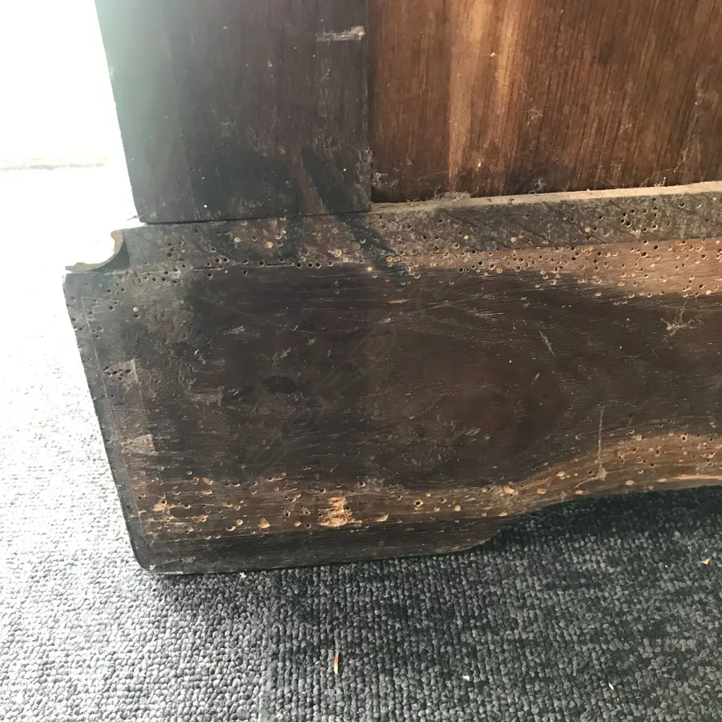 An impressive 19thC French ebonised and pietra dura pier cabinet Image 1++