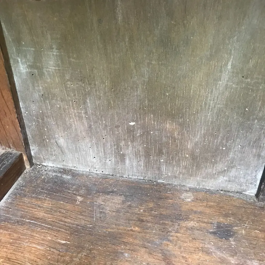 An impressive 19thC French ebonised and pietra dura pier cabinet Image 1++