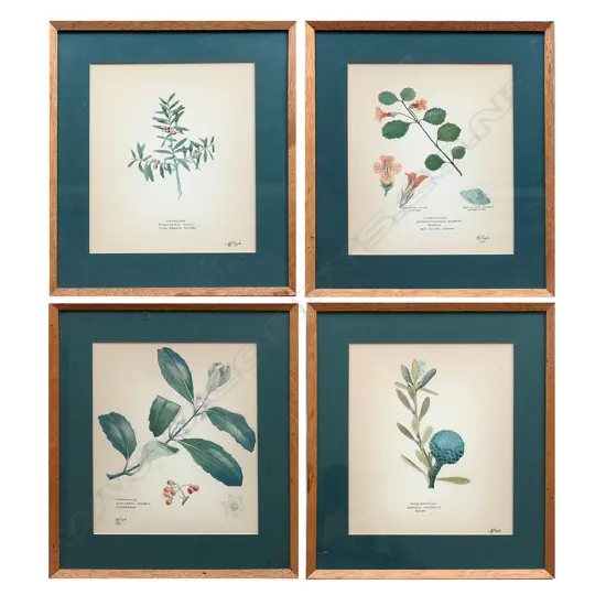 A set of four New Zealand botanical fine watercolour paintings by Audrey Eagle, each entitled with botanical and common names and signed, including: 'Kauri’, 'Gloxinia', 'Pigeonwood' and 'Thin Barked Totara'. 255 x 200mm image size. In original thin oak frame under glass. Two dated 1965. Copy of letter available from the artist to the woman who commissioned this set, dated 11 Feb. 1965.