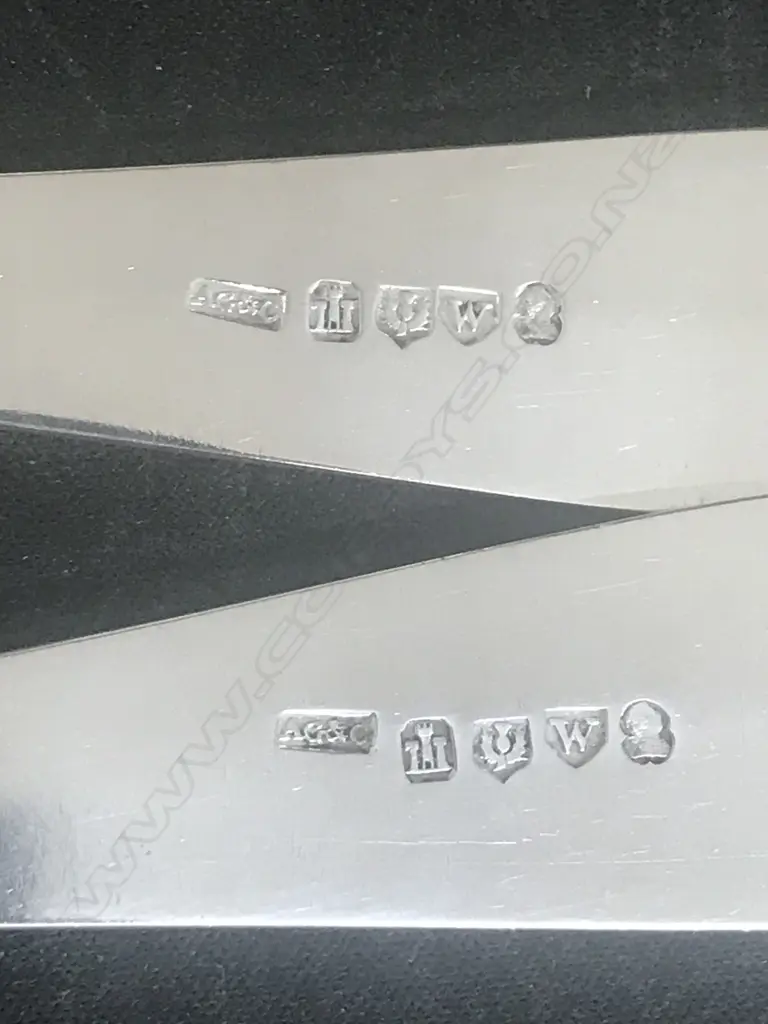 A pair of Geo III Scottish silver pie spoons Image 1++