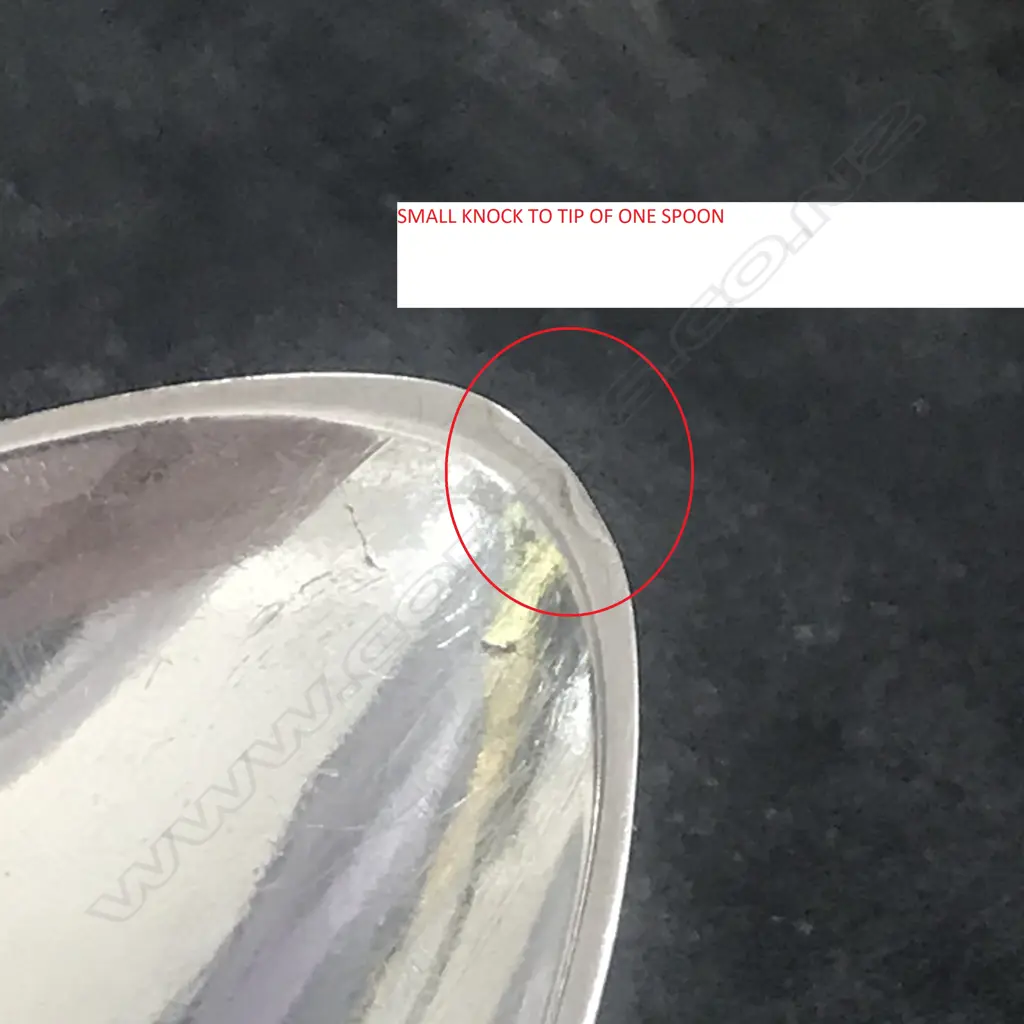 A pair of Geo III Scottish silver pie spoons Image 1++