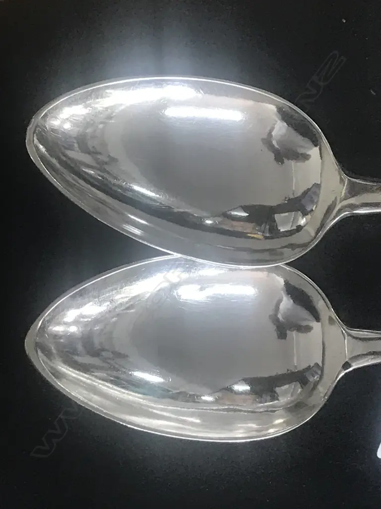 A pair of Geo III Scottish silver pie spoons Image 1++