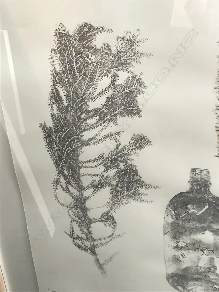 Paul Hartigan (b.1953), 'Parts of the Total Sum', direct image transfer (Rauschenberg technique) with unique hand colouring, edition 4/10, signed and dated 1991. On Waterford Series art paper 560 x 760mm. Float mounted in frame (overall 760 x 960mm) Image 1++