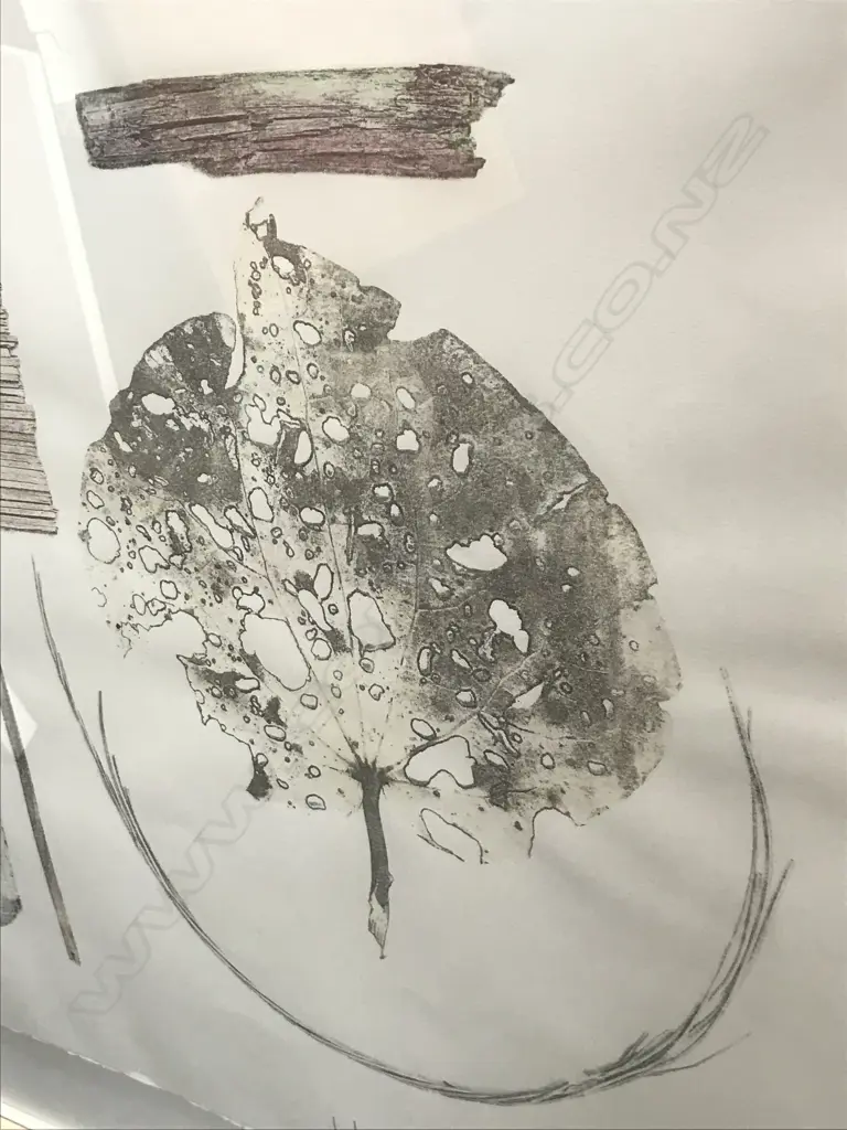 Paul Hartigan (b.1953), 'Parts of the Total Sum', direct image transfer (Rauschenberg technique) with unique hand colouring, edition 4/10, signed and dated 1991. On Waterford Series art paper 560 x 760mm. Float mounted in frame (overall 760 x 960mm) Image 1++