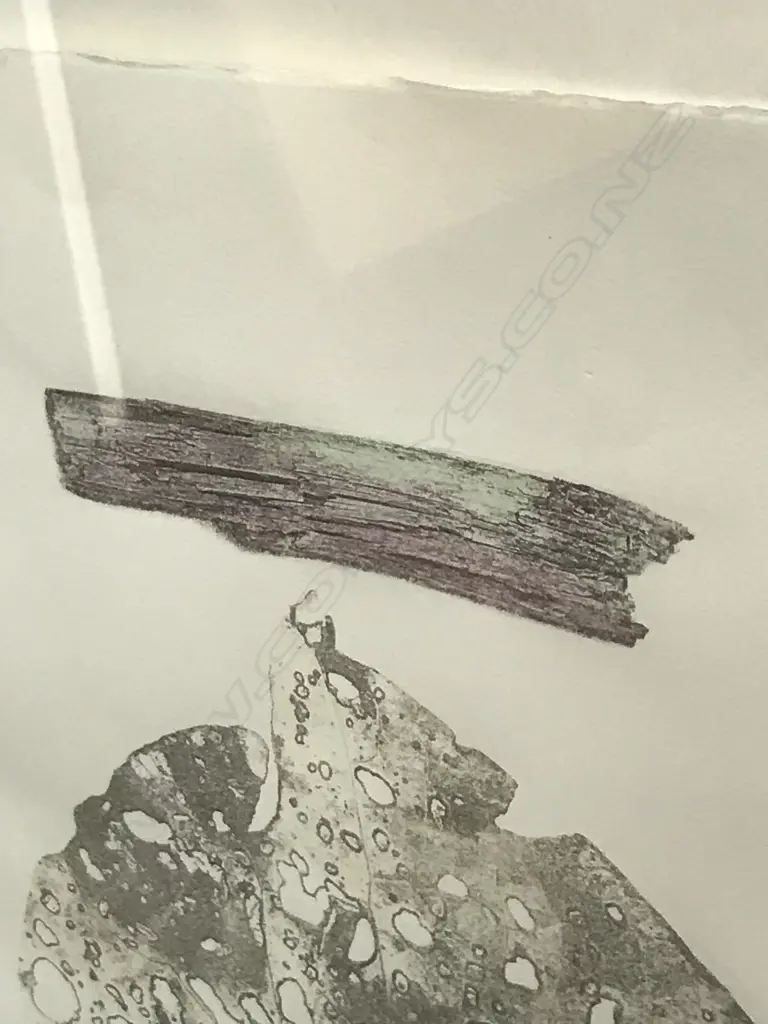 Paul Hartigan (b.1953), 'Parts of the Total Sum', direct image transfer (Rauschenberg technique) with unique hand colouring, edition 4/10, signed and dated 1991. On Waterford Series art paper 560 x 760mm. Float mounted in frame (overall 760 x 960mm) Image 1++