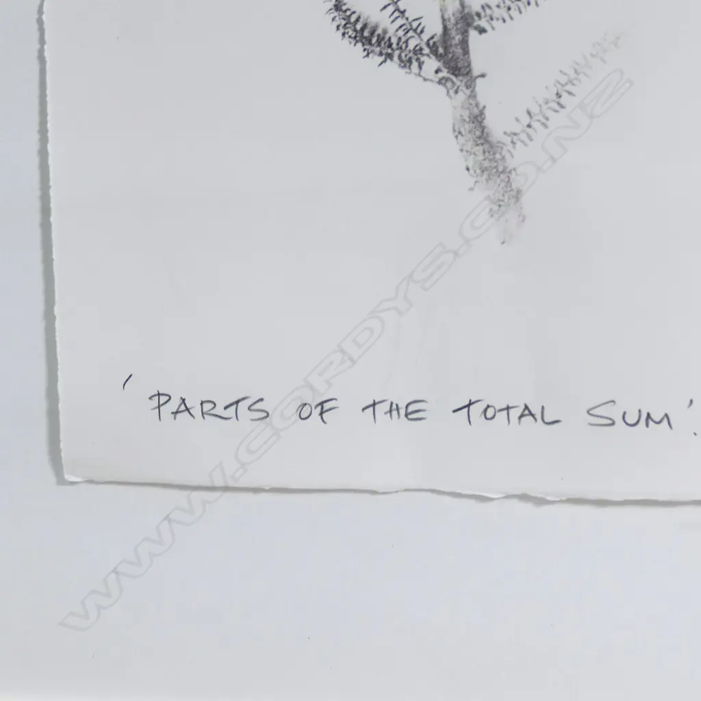 Paul Hartigan (b.1953), 'Parts of the Total Sum', direct image transfer (Rauschenberg technique) with unique hand colouring, edition 4/10, signed and dated 1991. On Waterford Series art paper 560 x 760mm. Float mounted in frame (overall 760 x 960mm) Image 1++