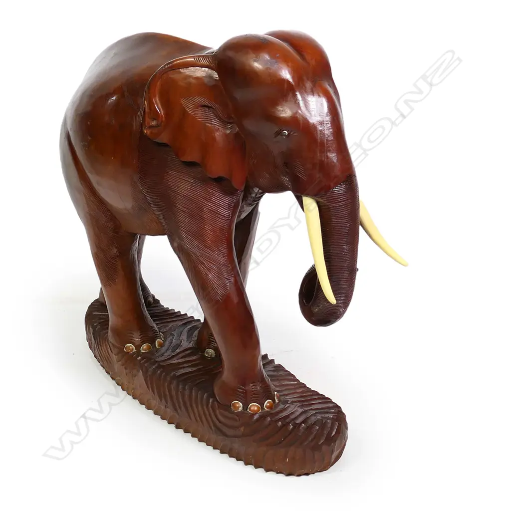 A rare large one piece carved teak Siamese elephant sculpture, cream painted tusks. On integral ribbed base. L.850mm. H.840mm. C.1960's. Image 1++
