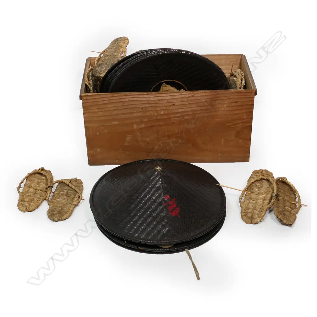 A rare mid to late Edo-period (1800s) Japanese doctor’s palanquin Image 1++